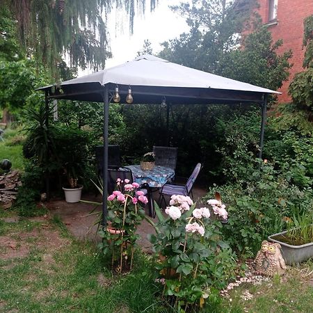 Ferienwohnung Markert Blankenburg  Ruang foto