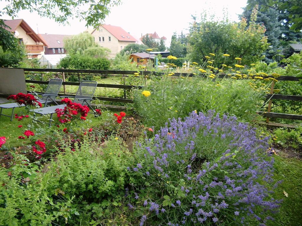 Ferienwohnung Markert Blankenburg  Bagian luar foto