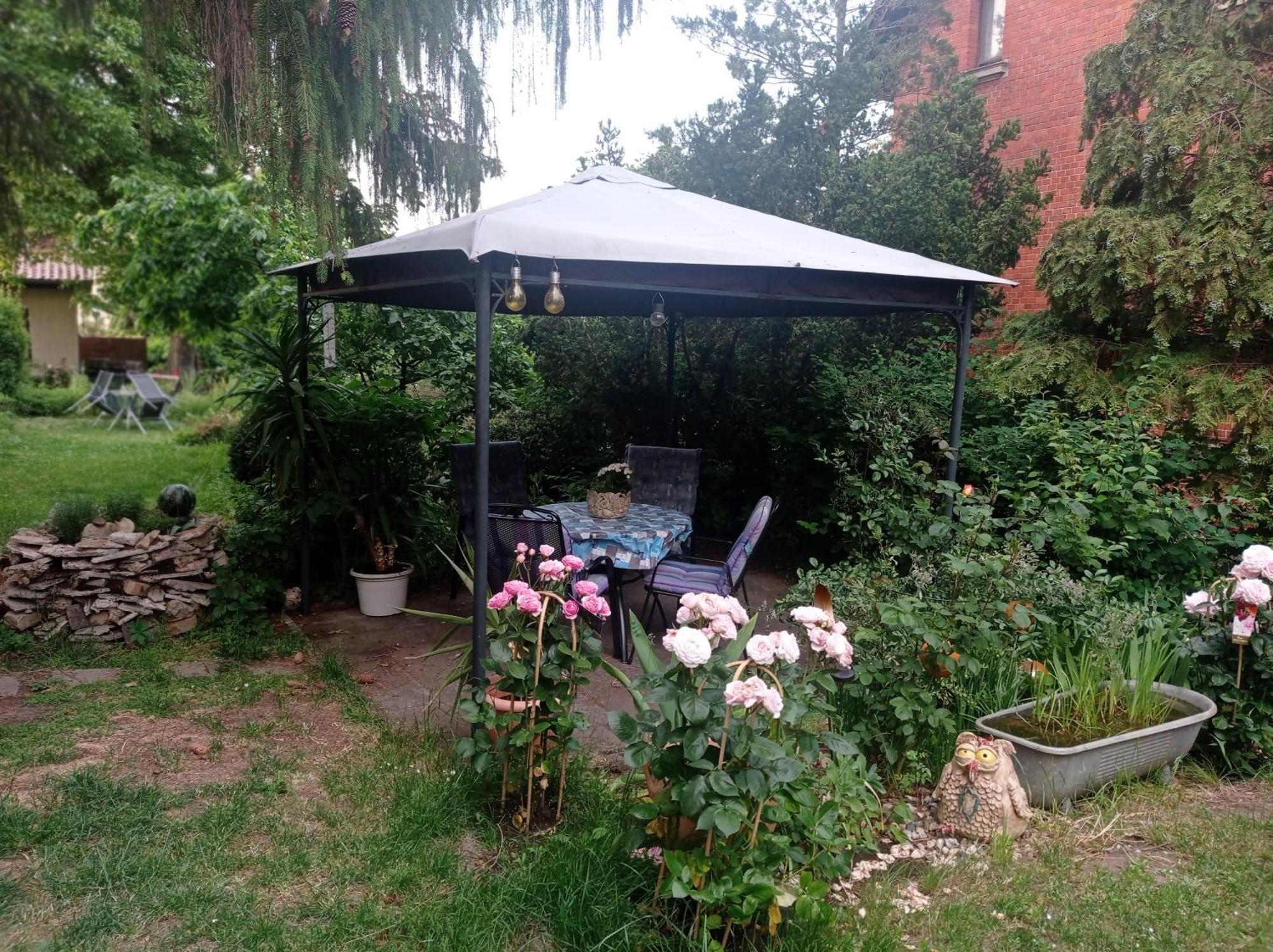 Ferienwohnung Markert Blankenburg  Ruang foto